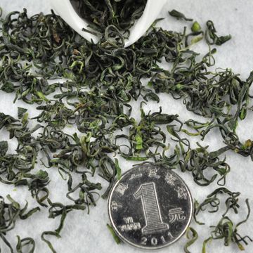 明前绿茶春茶茗茶崂山绿茶