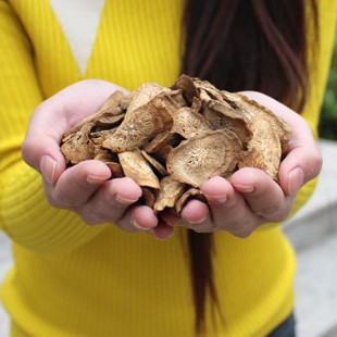 中大根牛蒡茶黄金牛蒡茶