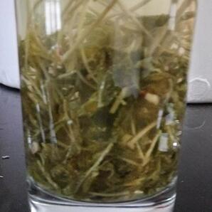 藤茶广西巴马藤茶白莓茶