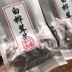 野生桦树茸东北桦褐孔菌