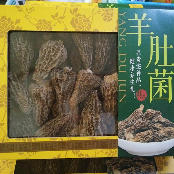 大羊肚菌野生羊肚菌礼盒