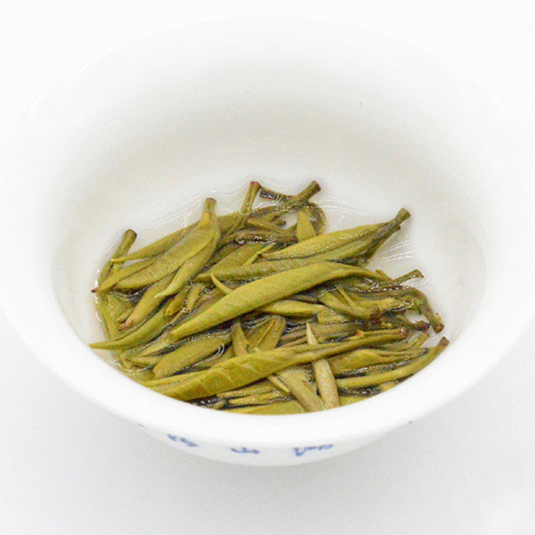 银针茉莉白豪银针茉莉花