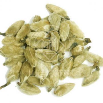 精选辛夷花木笔花望春花