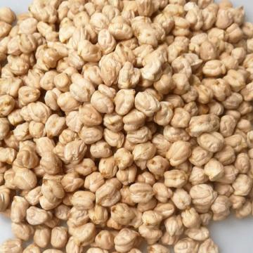 新疆鹰嘴豆干天山鹰嘴豆
