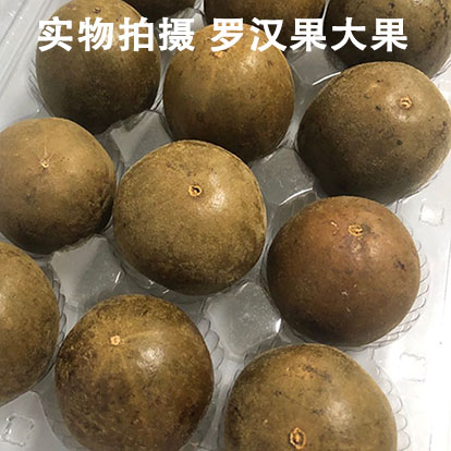 大果罗汉果茶桂林罗汉果