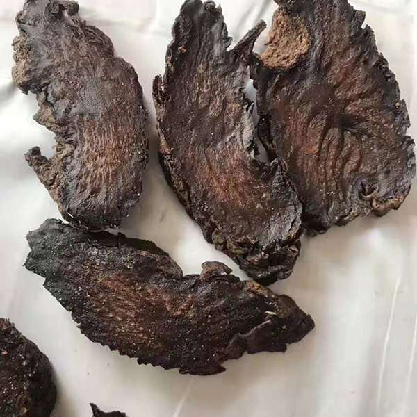 肉苁蓉阿拉善油油苁蓉片