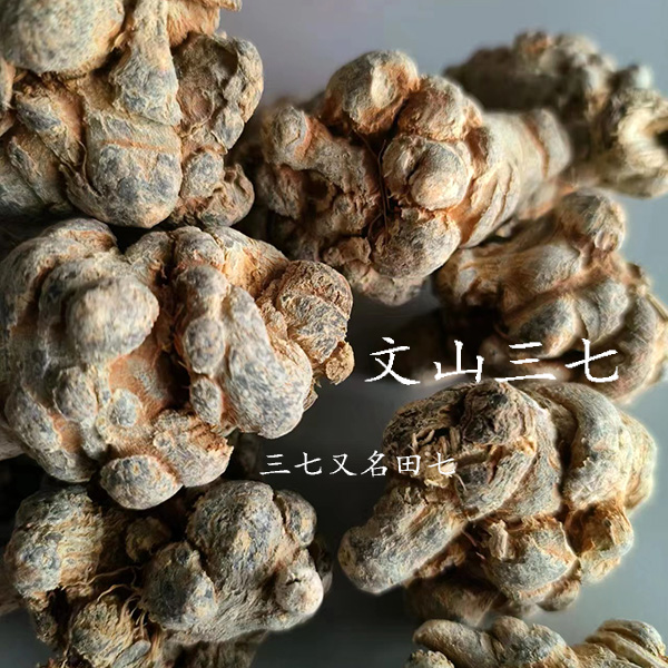 五十头三七云南文山三七