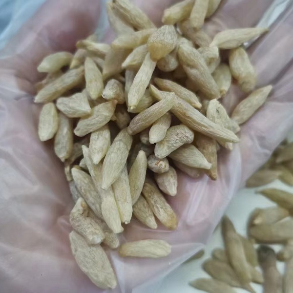 黄芪西洋参麦冬党参160g