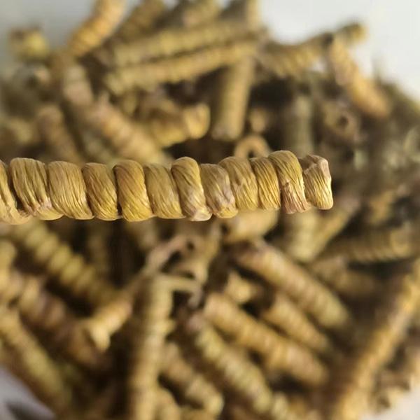 霍山石斛铁皮枫斗50g