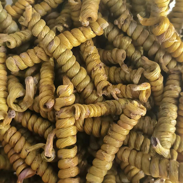 霍山石斛铁皮枫斗50g