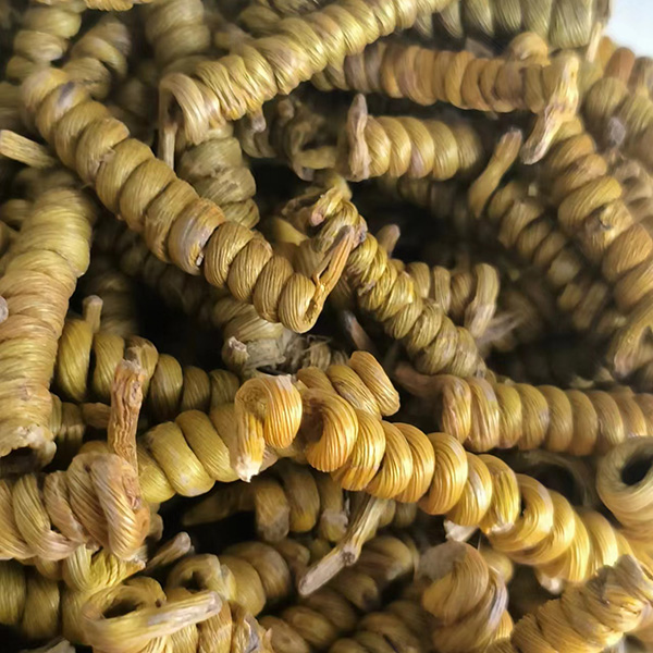 霍山石斛铁皮枫斗50g