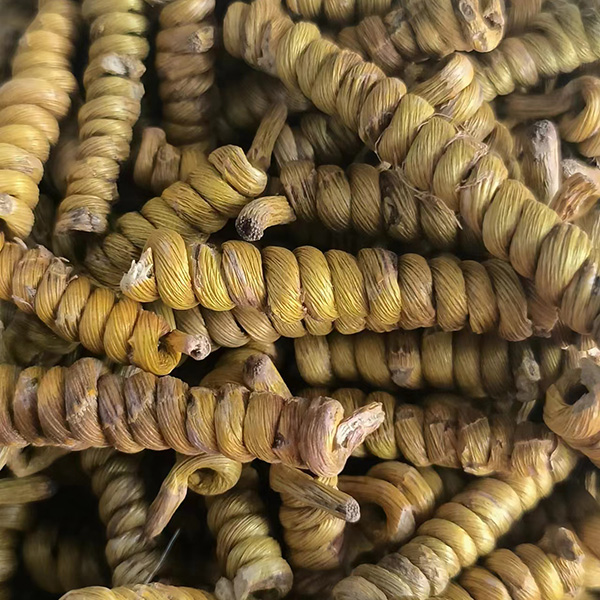 霍山石斛铁皮枫斗50g