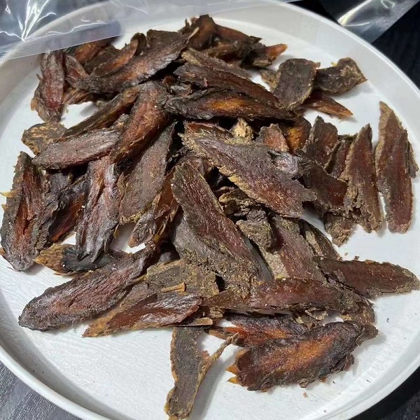 秋肉苁蓉阿拉善油肉苁蓉