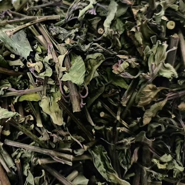 高山野生猫须草茶降三高养生茶花草茶