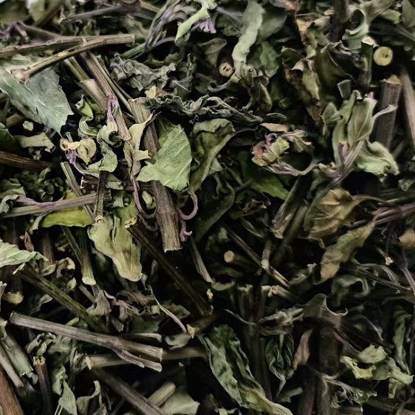 高山野生猫须草茶降三高养生茶花草茶