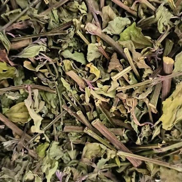 【买5送1】野生猫须草茶云南特产肾茶