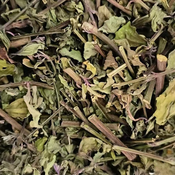 【买5送1】野生猫须草茶云南特产肾茶