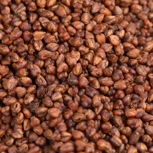 凉山黑苦荞三高养胃代餐全胚芽苦荞茶
