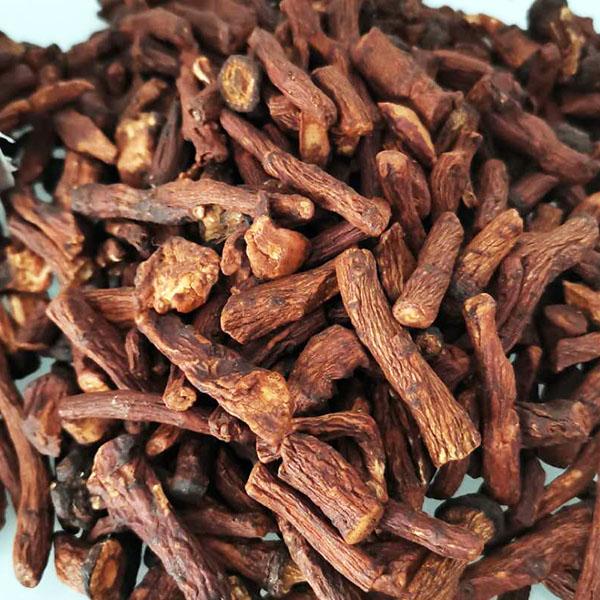 长白山高海拔野生蒲公英根切片代茶饮