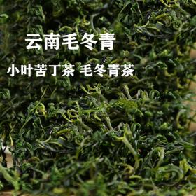 云南野生毛冬青嫩叶茶养生增强...