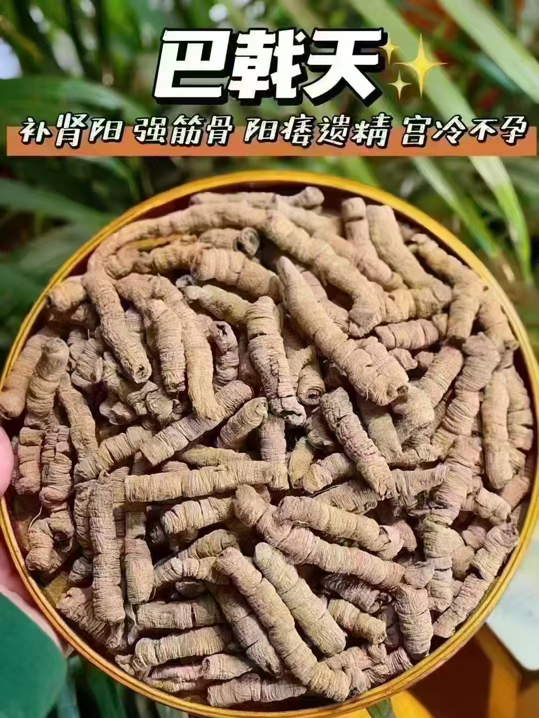 德庆巴戟天枸杞茶补肾养生去芯巴戟天