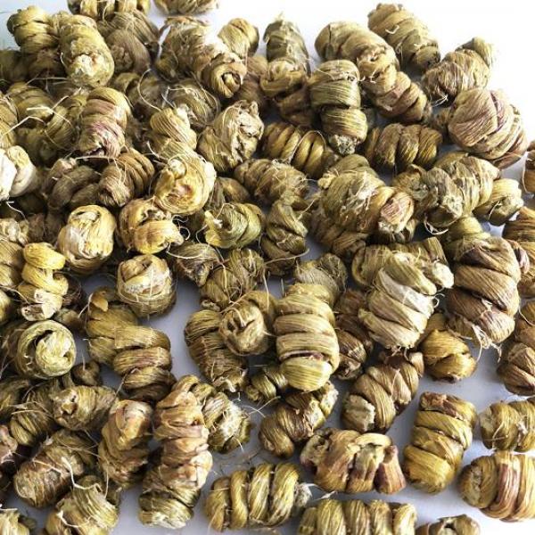 霍山石斛枫斗煮水配麦冬护嗓铁皮石斛