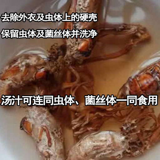 大别山金蝉花三高人群优选野生金蝉花