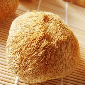 长白山猴头菇养胃增强免疫野生...