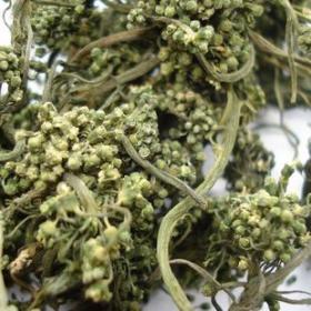 长白山人参花安神调节血糖足龄人参花