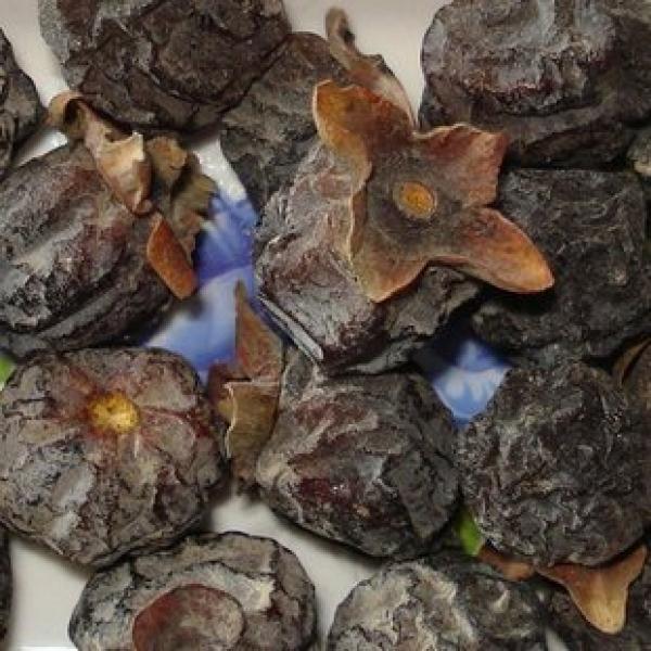 大别山君迁子补肾养颜护心野生大黑枣