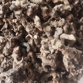 纯仙灵脾根改善腰膝酸软野生仙灵脾根